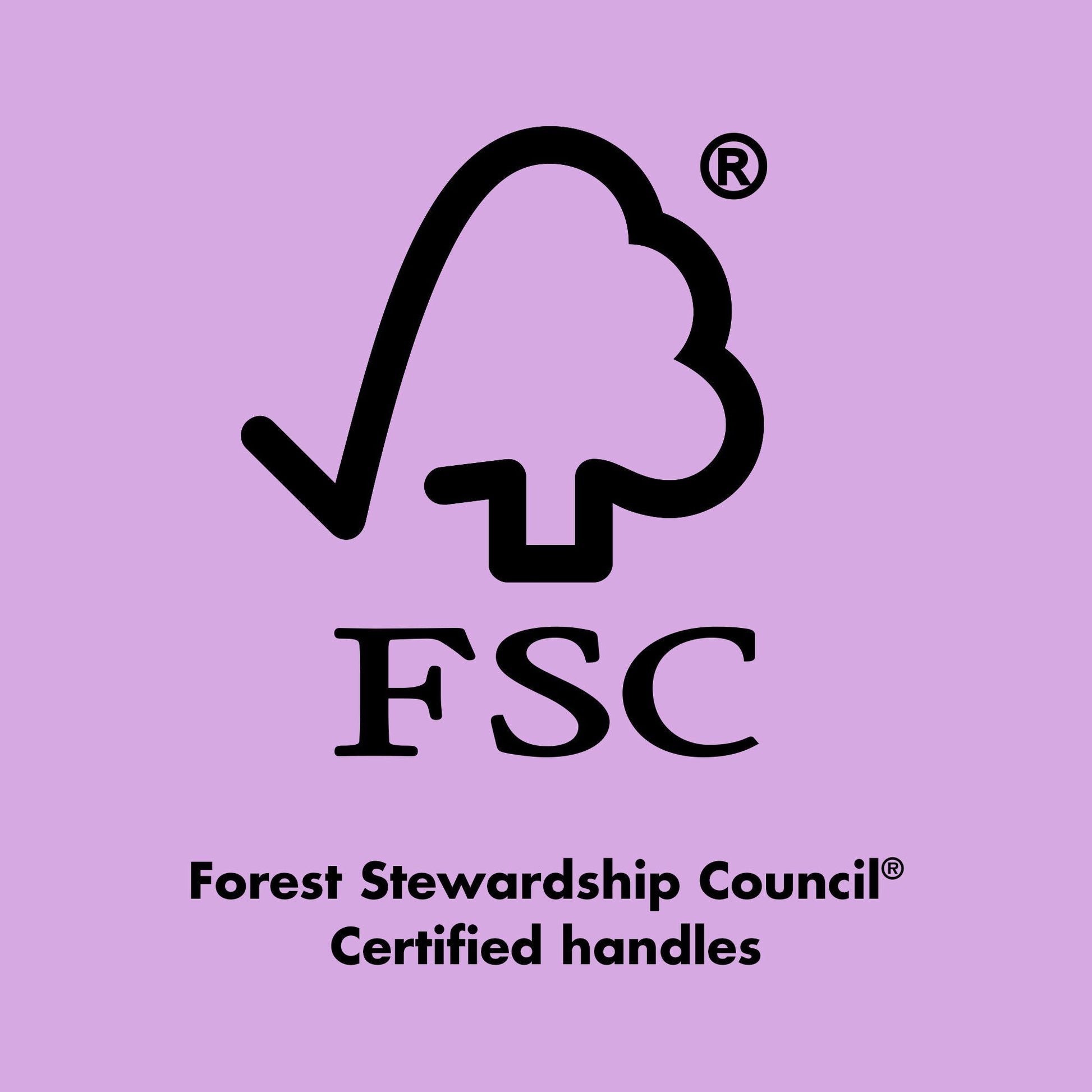 ten-out-of-ten-brush-kit-e4 0423_EDUCATION_FSC_EVERGREEN.jpg