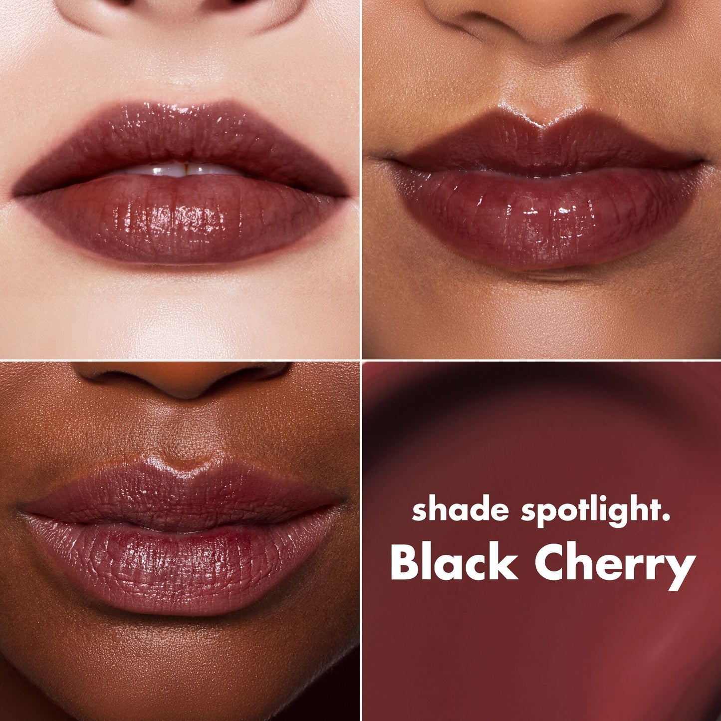 lip-lacquer-l8 0426_EDU_LipLaquer_ShadeChart_BlackCherry.jpg