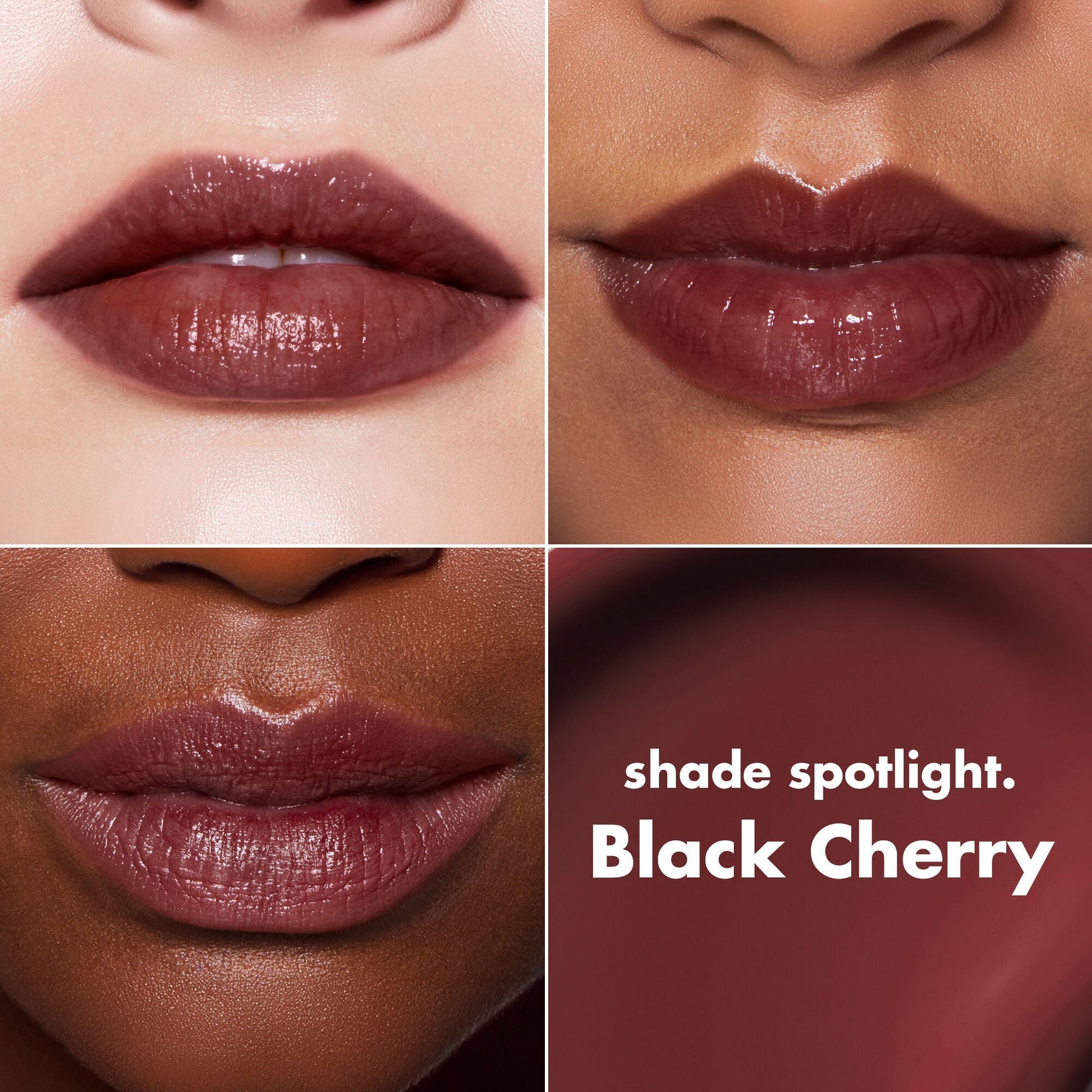 lip-lacquer-l8 0426_EDU_LipLaquer_ShadeChart_BlackCherry.jpg