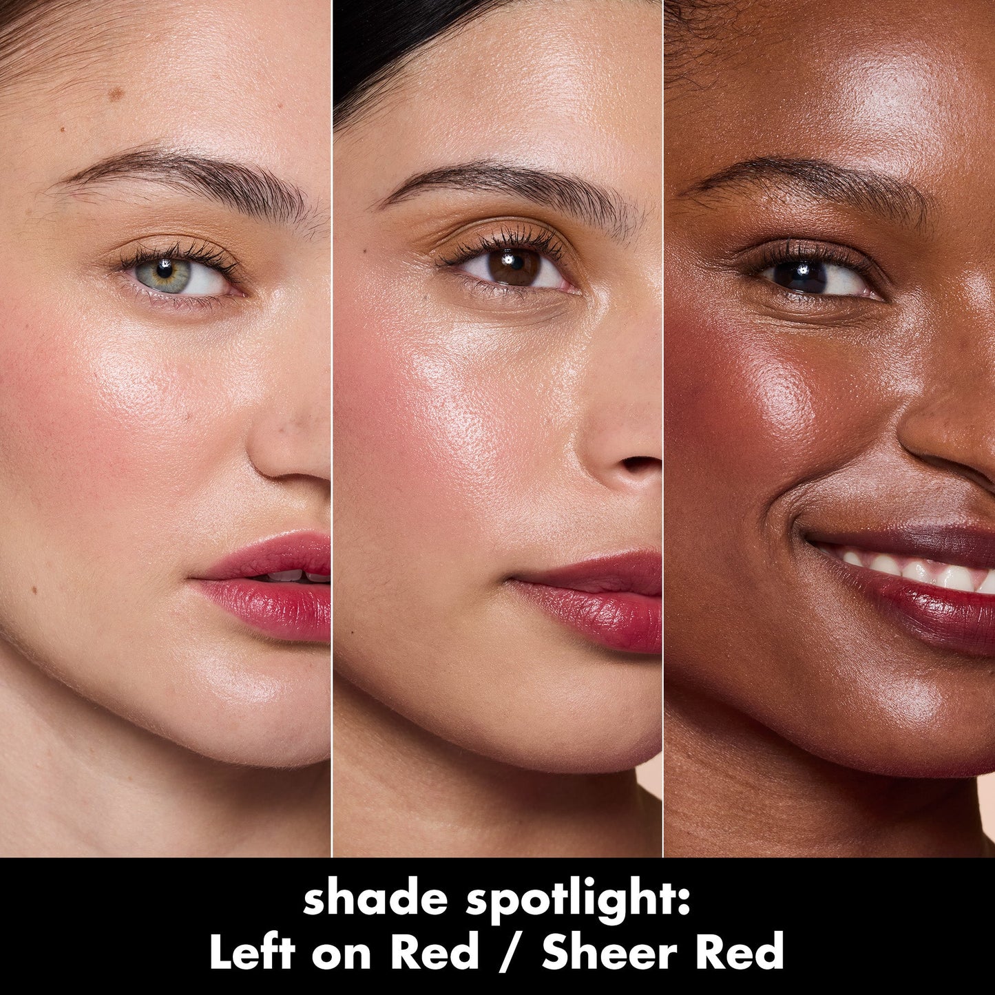sheer-for-it-blush-tint-p0 0526_SEO_SheerForIt_ShadeSpotlight_LeftOnRed.jpg