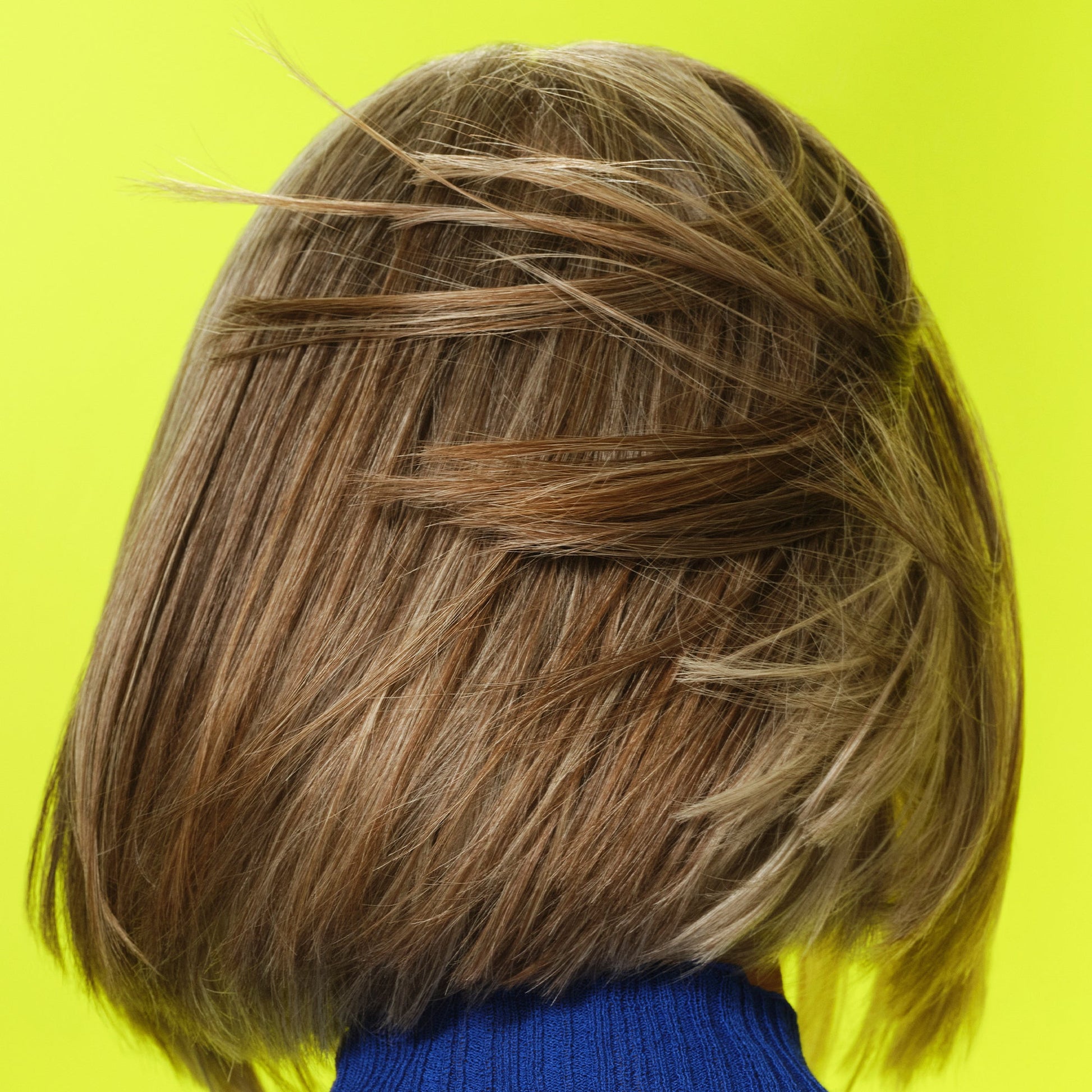 frizz-to-rizz-trio-h9 111725_Vicky_HumidityAntifrizz-Editorial_0538_w2QC_IGF_1x1_05a09617-4ccf-44a2-8545-199321a503e1.jpg